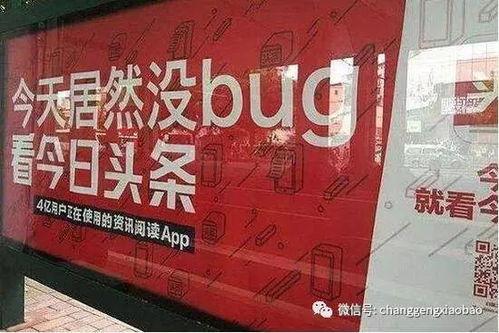 保定市头条爆料最新消息,突发事件引发关注，详情即将揭晓