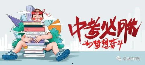 河南队侄女爆料最新消息,揭秘球队内部最新动态